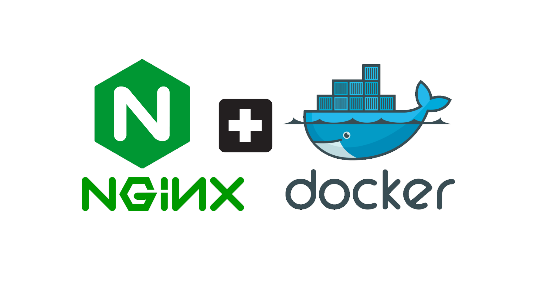 Using Docker & NGINX to Build a Suite of Microservices